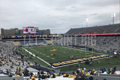 Mountaineer Field at Milan Puskar Stadium Football Wall Mural