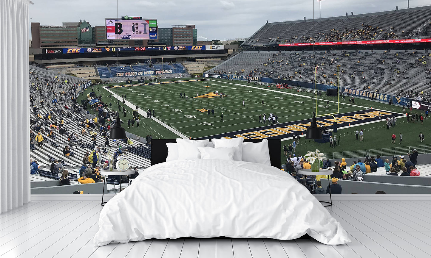 Mountaineer Field at Milan Puskar Stadium Football Wall Mural