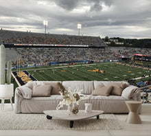 Mountaineer Field at Milan Puskar Stadium B Football Wall Mural