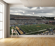 Mountaineer Field at Milan Puskar Stadium B Football Wall Mural