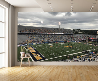 Mountaineer Field at Milan Puskar Stadium B Football Wall Mural