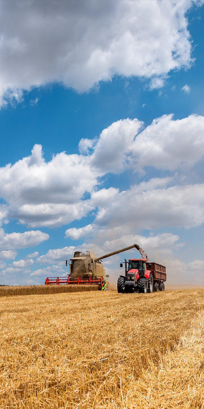 Harvest Combining Agriculture Farm Corn Hole Wrap Decal