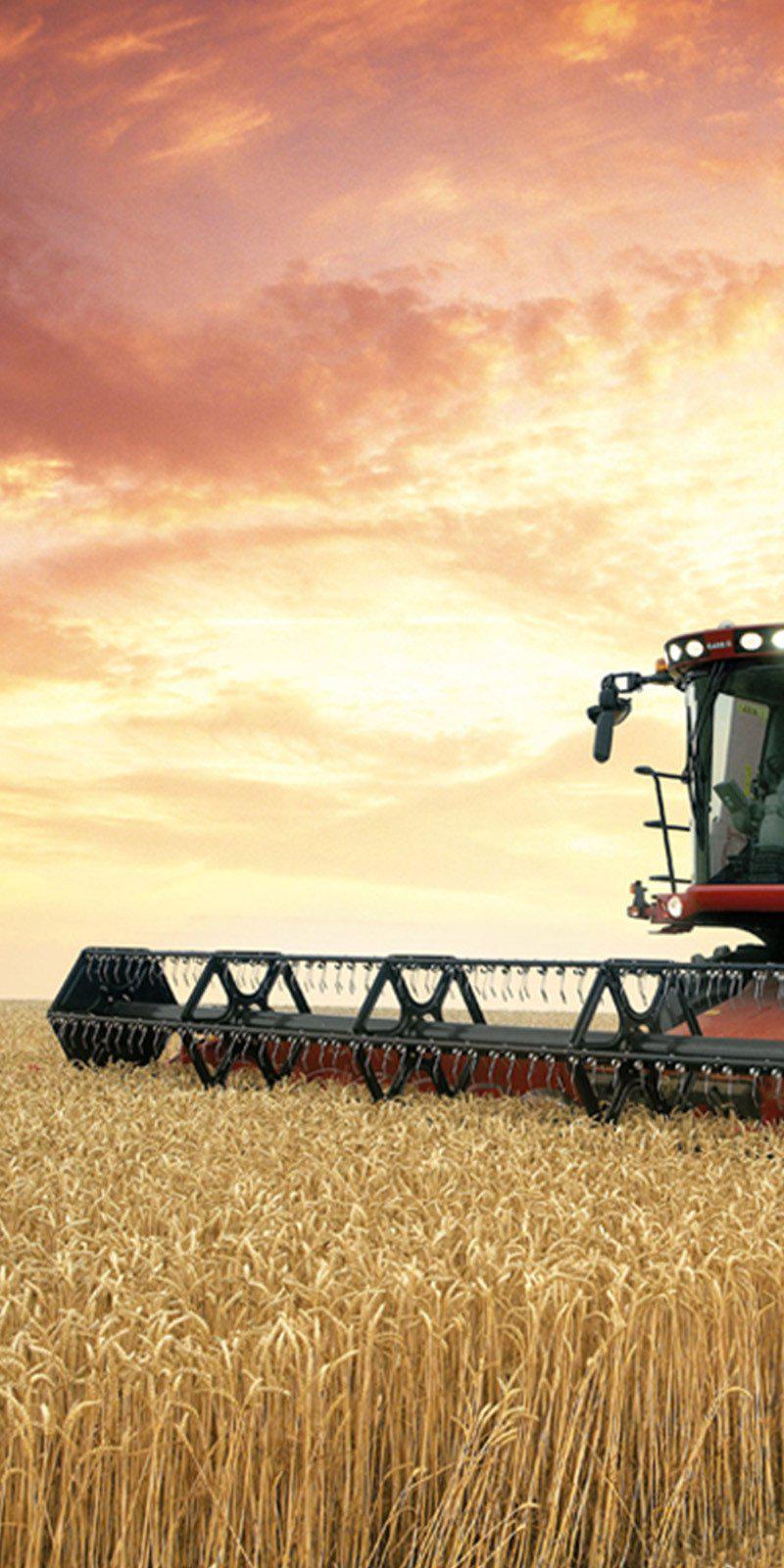 Wheat Harvest Field Scene Combine Farm Corn hole Decal Wrap - Let's Print Big