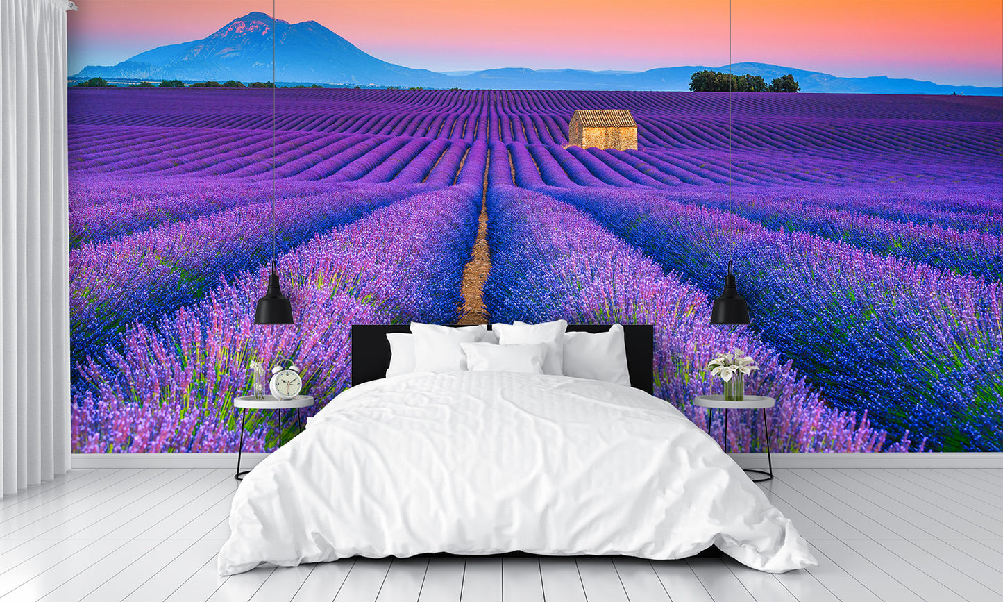 Wonderful Summer Landscape with Lavender Fields Wall Mural