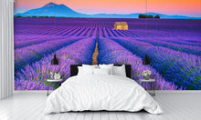 Wonderful Summer Landscape with Lavender Fields Wall Mural