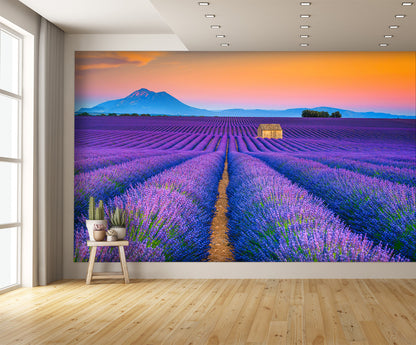 Wonderful Summer Landscape with Lavender Fields Wall Mural