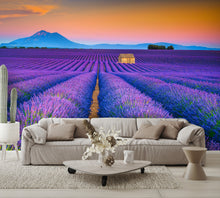 Wonderful Summer Landscape with Lavender Fields Wall Mural