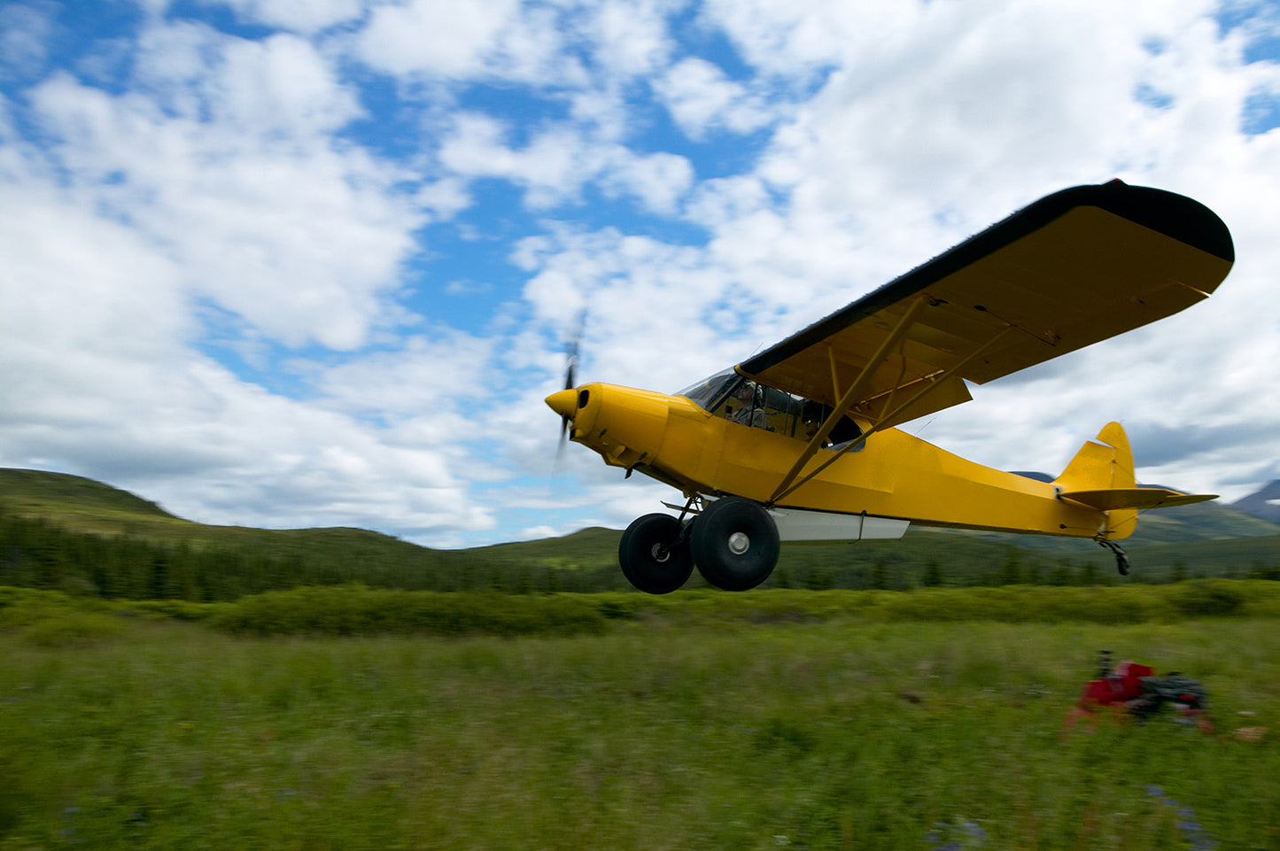 Yellow Piper Super Cub Bush Plane Wall Mural