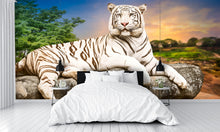 Young White Tiger Wall Mural