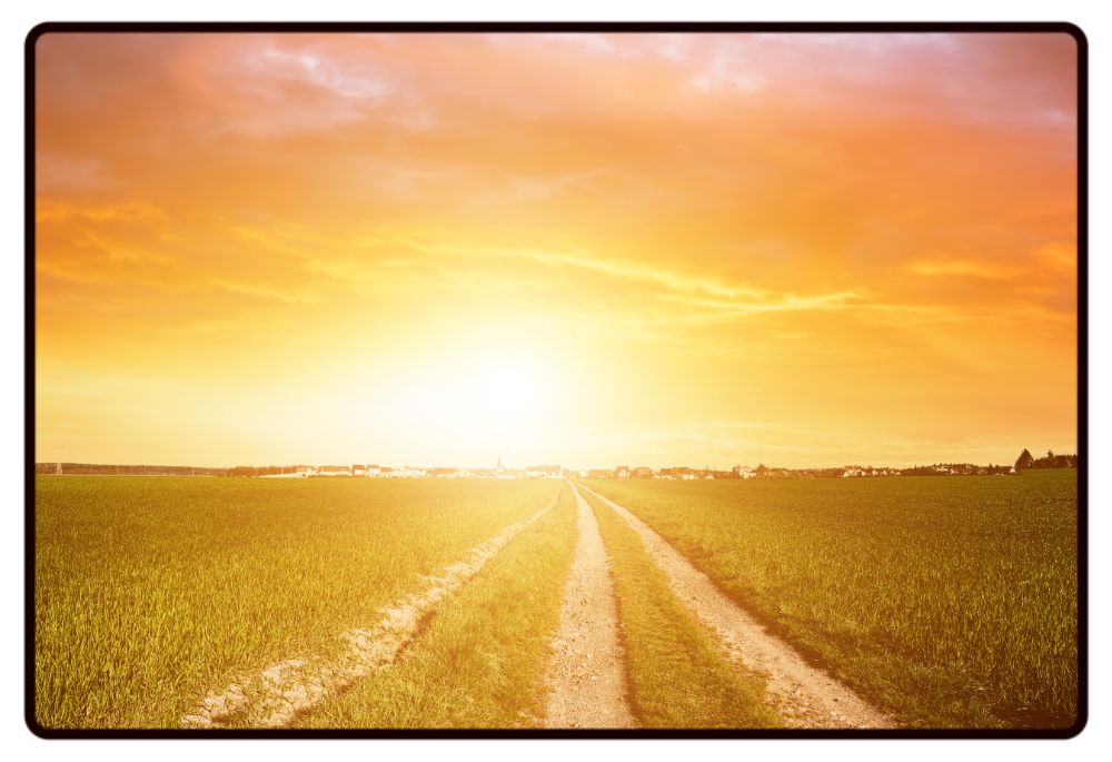 Sunset In the Field Desk Mat