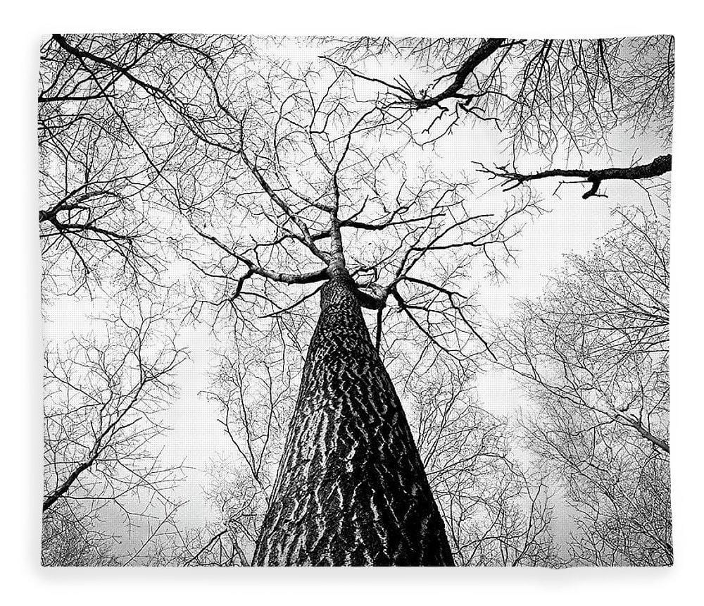 Bark - Blanket