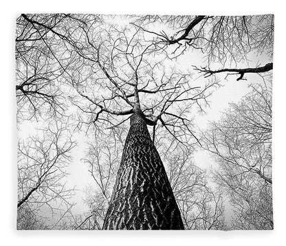 Bark - Blanket