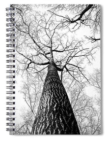 Bark - Spiral Notebook