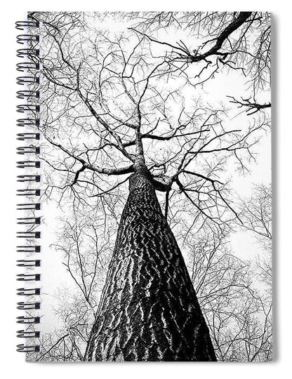 Bark - Spiral Notebook
