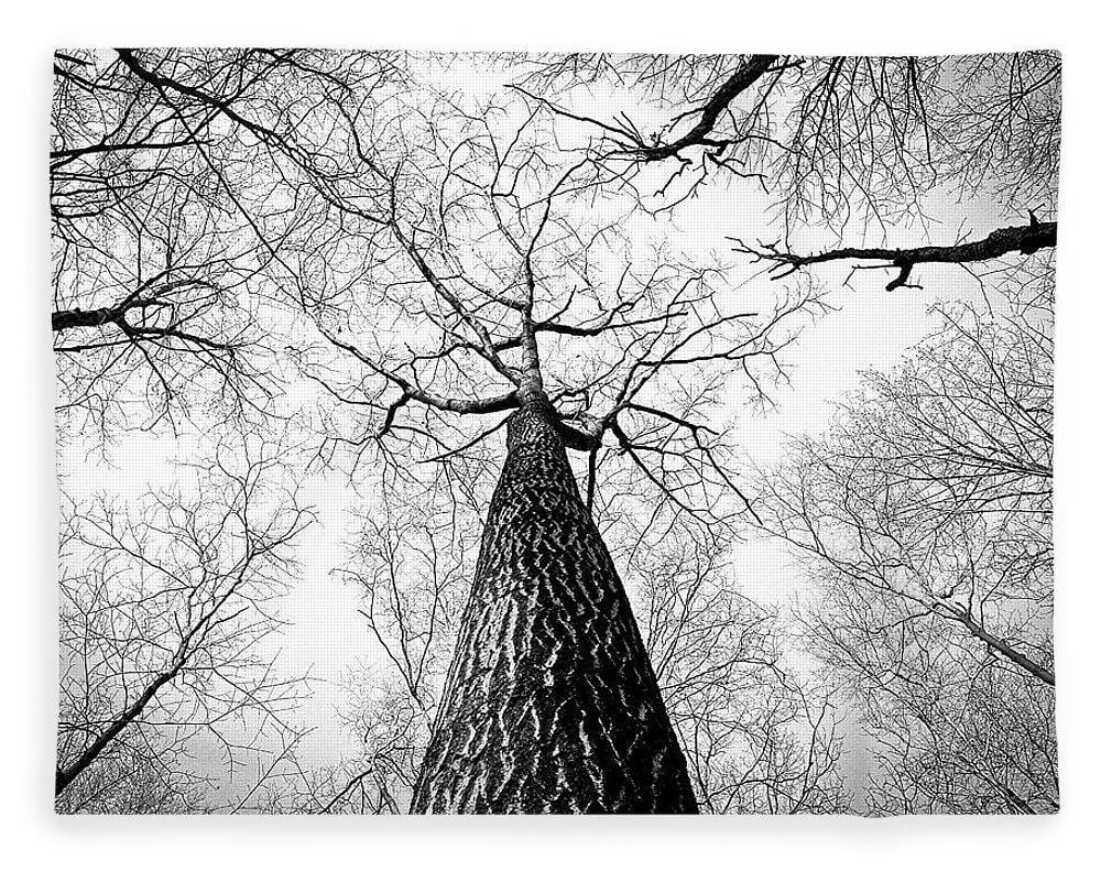 Bark - Blanket