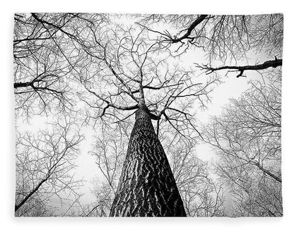 Bark - Blanket