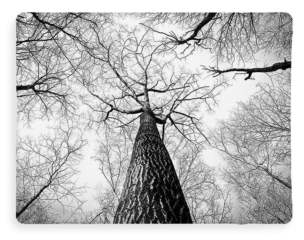 Bark - Blanket