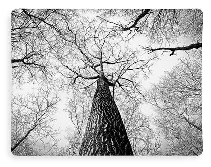 Bark - Blanket
