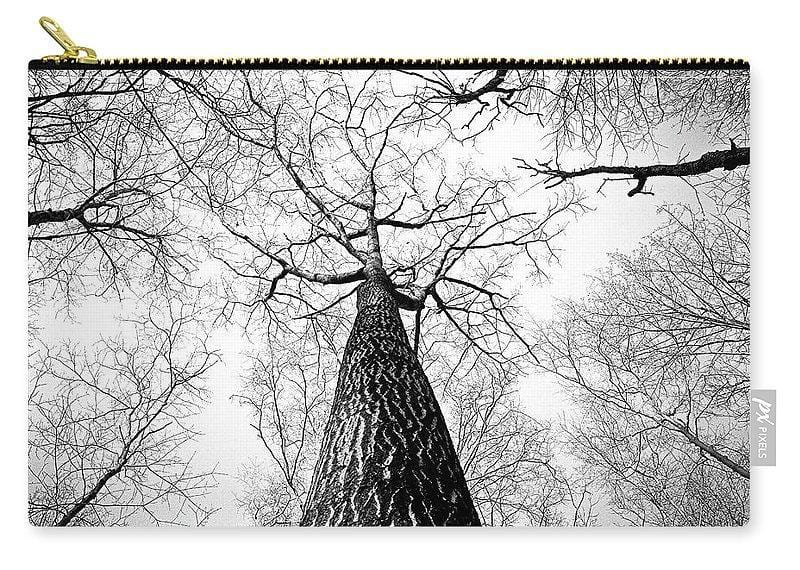 Bark - Carry-All Pouch