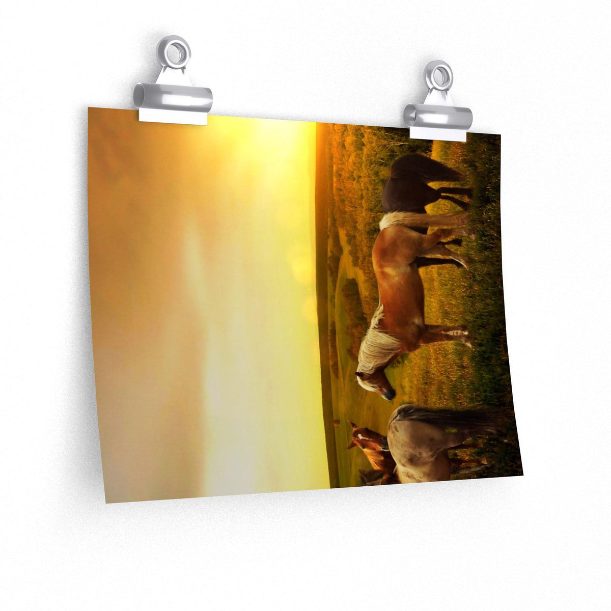 Horses in Pasture as Sunset Poster - 7 Size choices - Let's Print Big