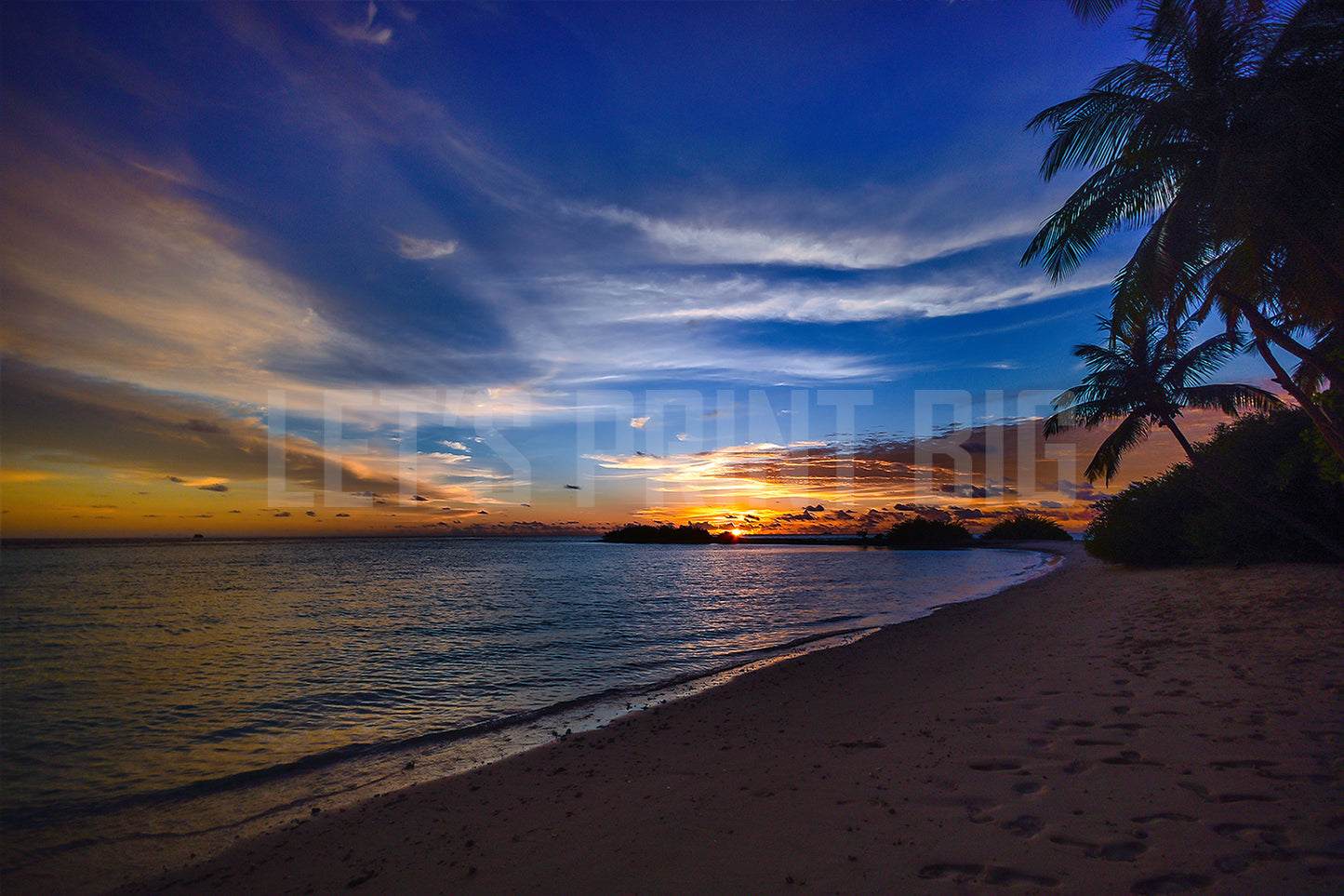 Beach Palm Trees Sunset Dusk Custom Designed Wallpaper
