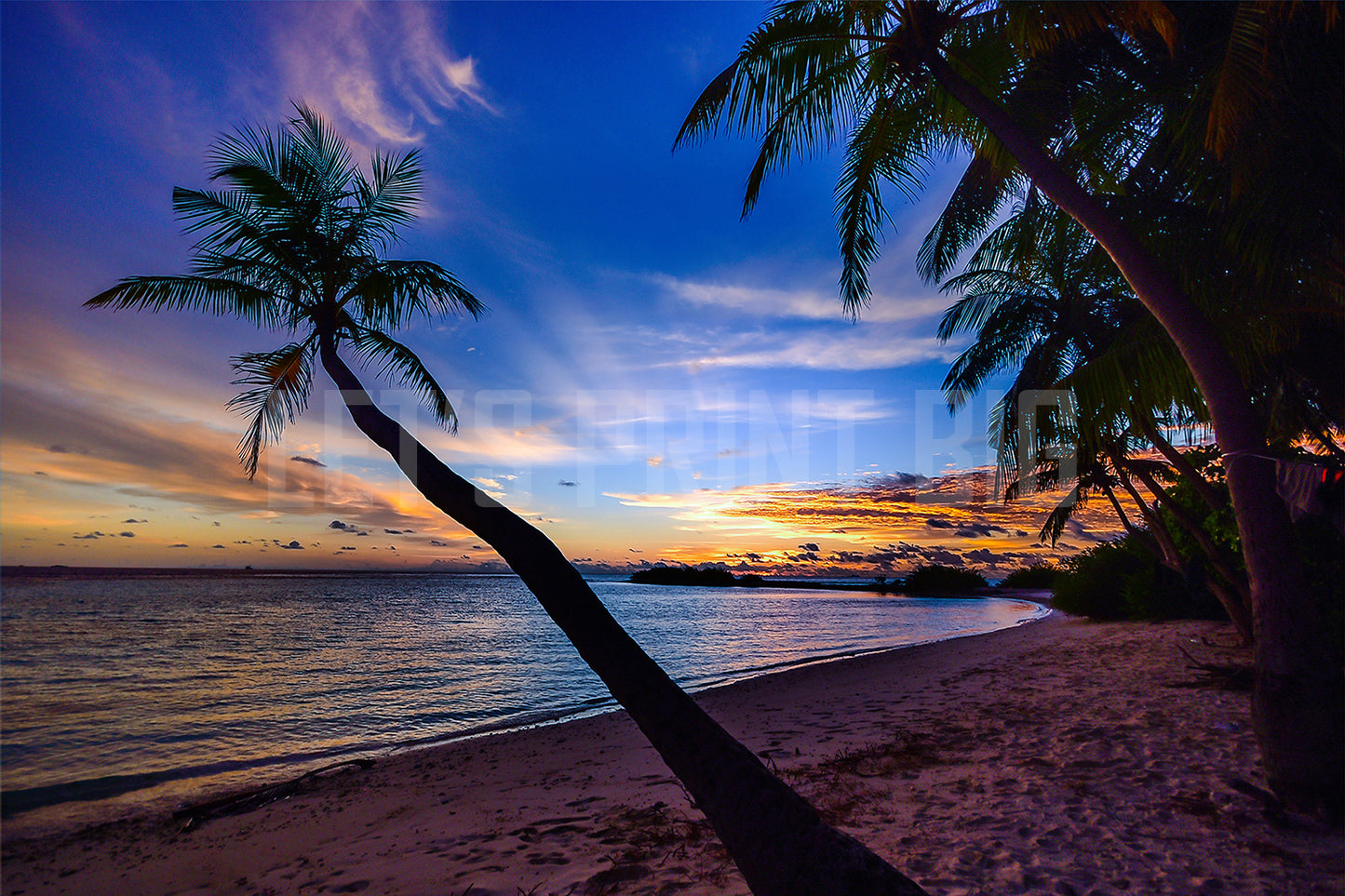 Beach Palm Trees Sunset Dusk 2 Custom Designed Wallpaper