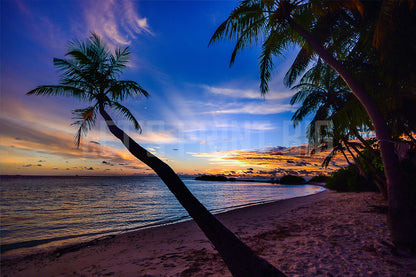 Beach Palm Trees Sunset Dusk 2 Custom Designed Wallpaper