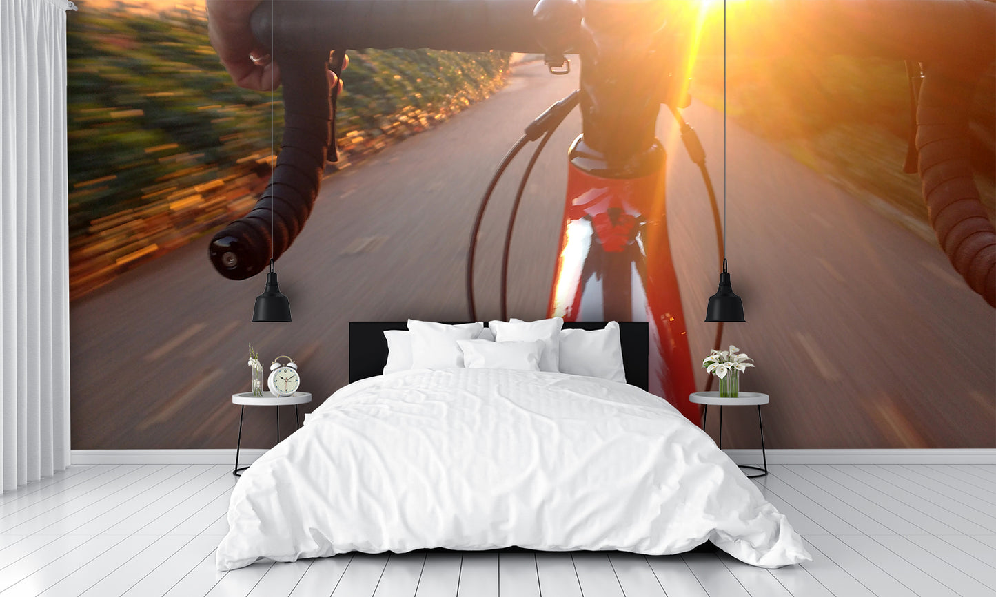 Traveling Bicycle Mural Wallpaper