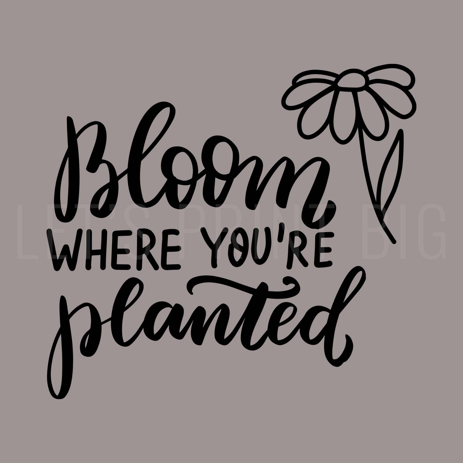Bloom Where You're Planted Wall Decal, Indoors or Outdoors