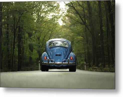 Bug On The Road - Metal Print