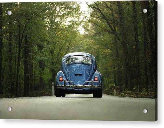 Bug On The Road - Acrylic Print