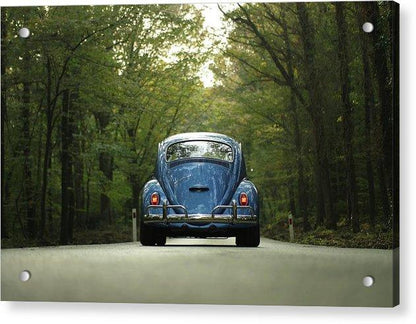 Bug On The Road - Acrylic Print