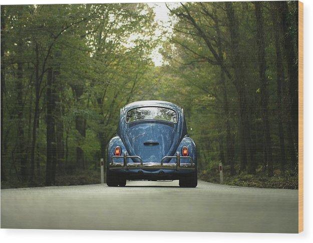 Bug On The Road - Wood Print