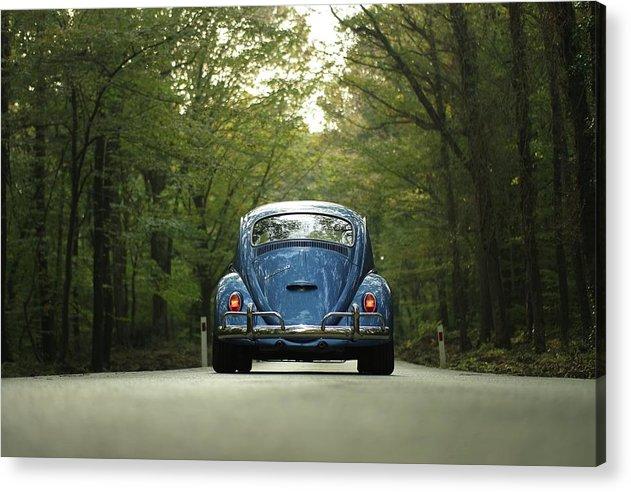 Bug On The Road - Acrylic Print