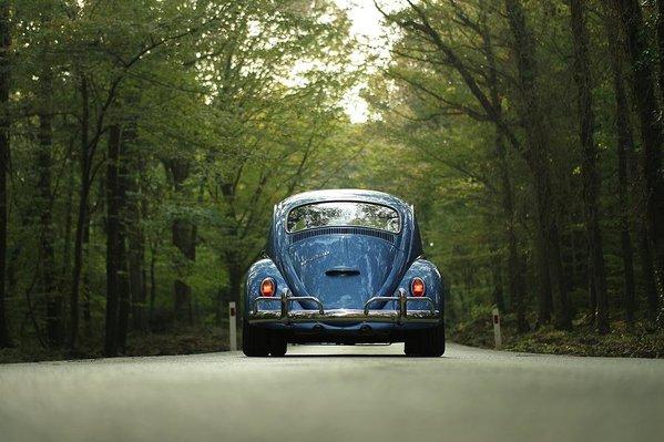 Bug On The Road - Art Print