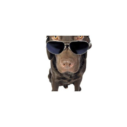 Lab Dog in Sunglasses Coffee Mug - Let's Print Big