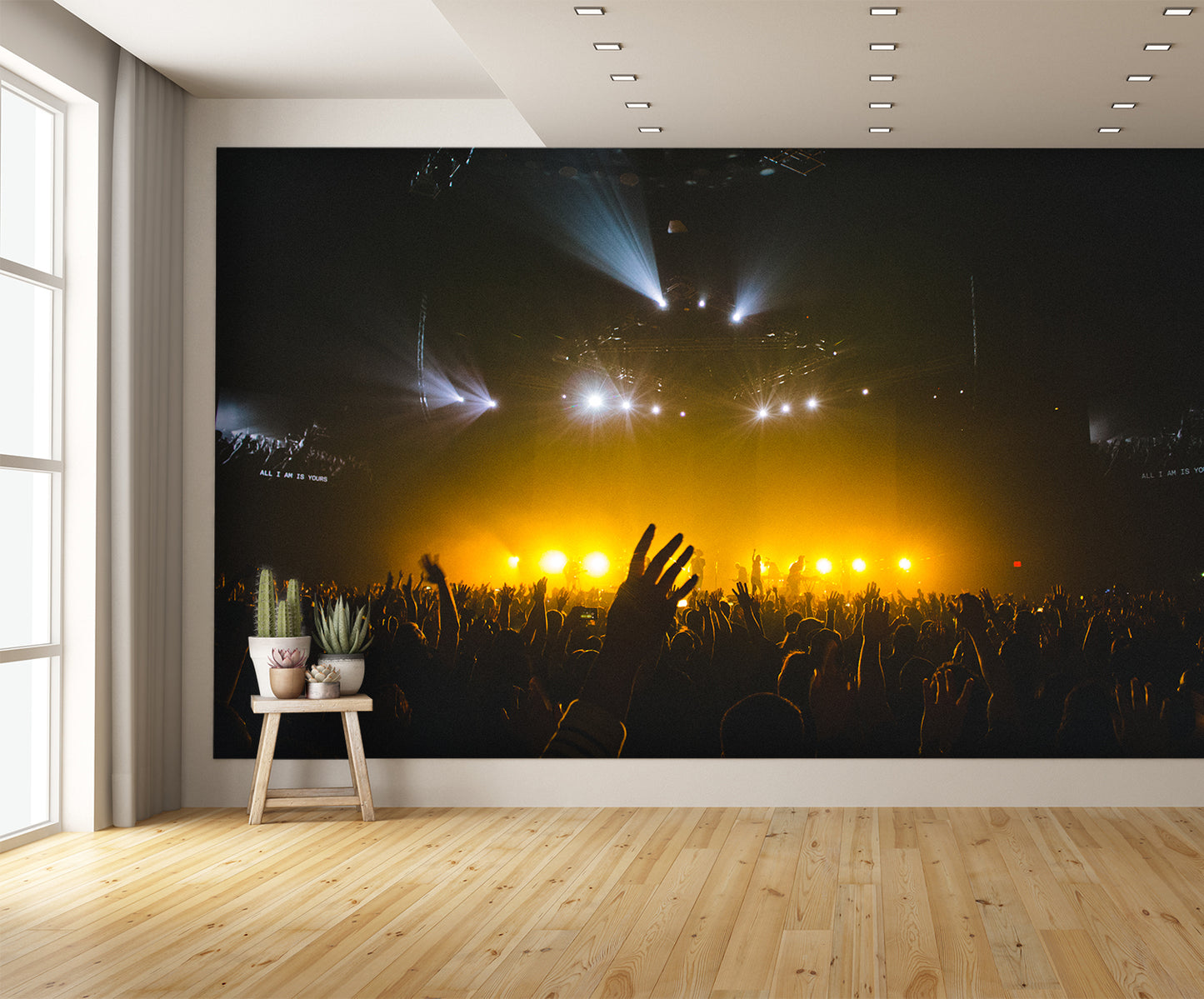 Concert Lights Wall Mural
