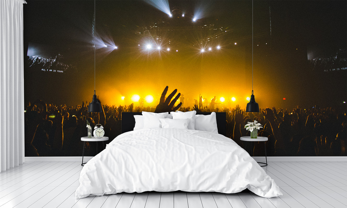 Concert Lights Wall Mural