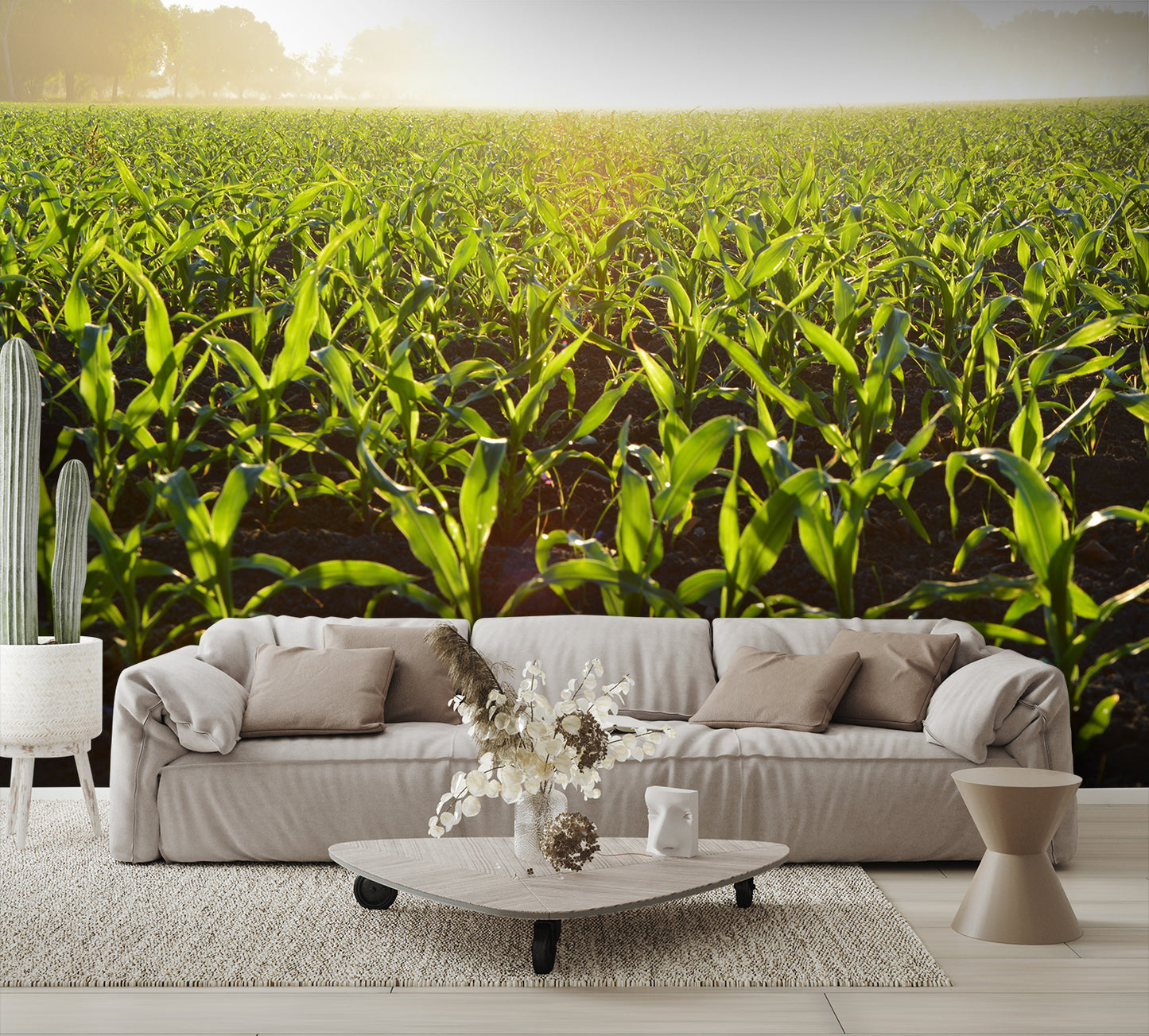 Fog Over Corn Field Custom Designed Wallpaper