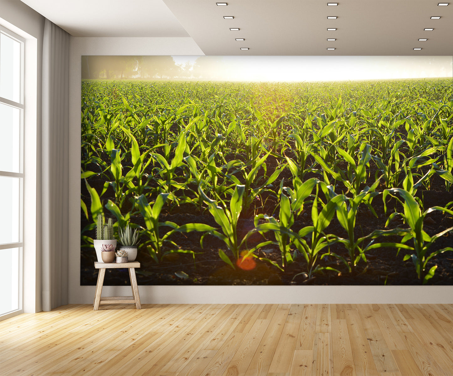 Fog Over Corn Field Custom Designed Wallpaper