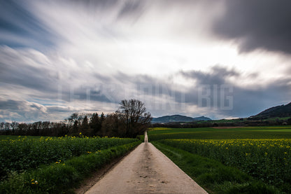 Gravel Road Country Landscape Wall Mural