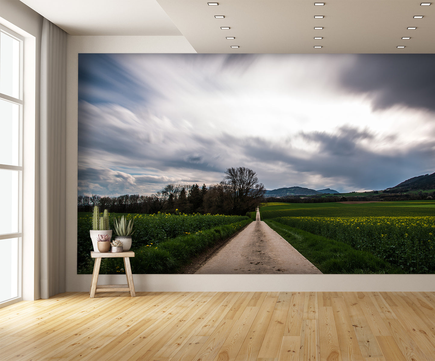 Gravel Road Country Landscape Wall Mural