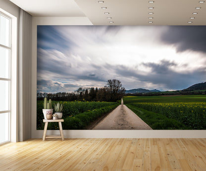Gravel Road Country Landscape Wall Mural