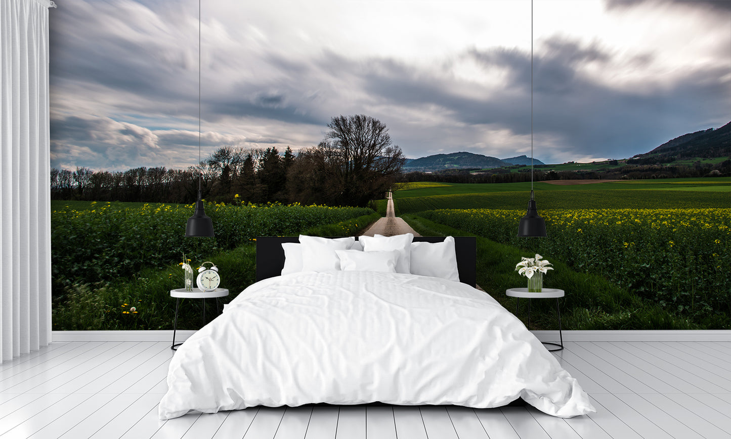 Gravel Road Country Landscape Wall Mural