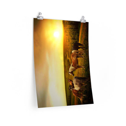 Horses in Pasture as Sunset Poster - 7 Size choices - Let's Print Big