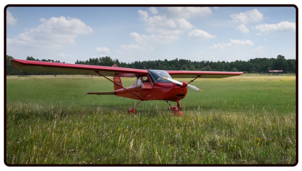 Red Plane on the Grass Desk Mat