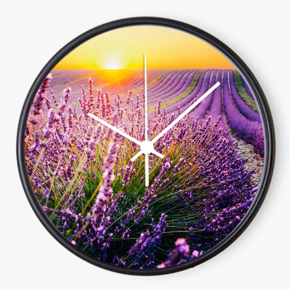 Lavender Field Sunset 10 inch wall clock