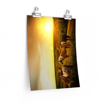 Horses in Pasture as Sunset Poster - 7 Size choices - Let's Print Big