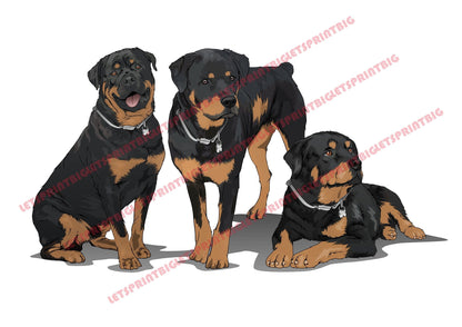3 Rottweilers Art Wall Decal