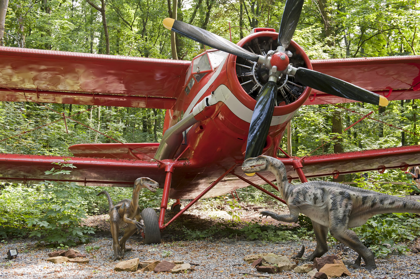 Dinosaurs and Biplane Wall Mural